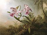 Hummingbird Canvas Paintings - Orchids and Hummingbird 1875
